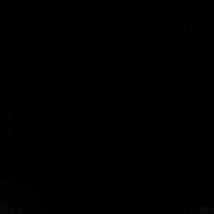 Meet your Posher, Teddy